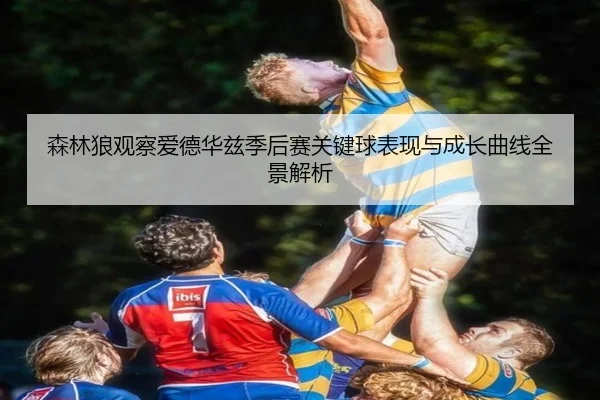 森林狼观察爱德华兹季后赛关键球表现与成长曲线全景解析